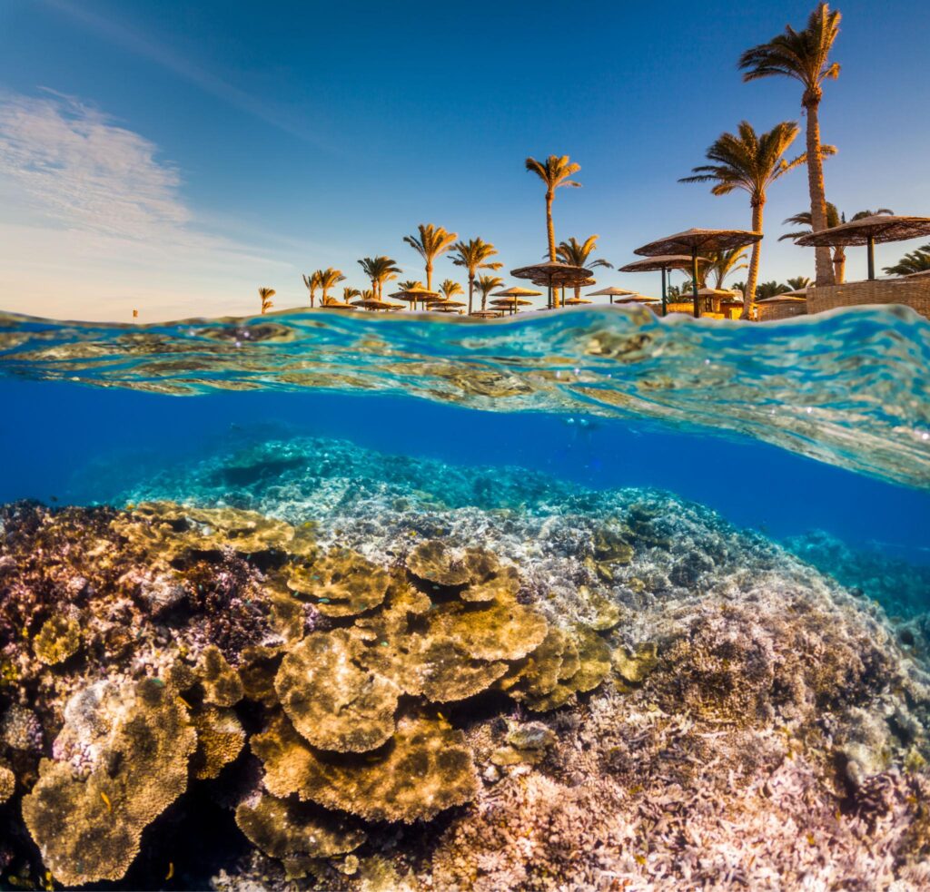 Sea Trip in Hurghada