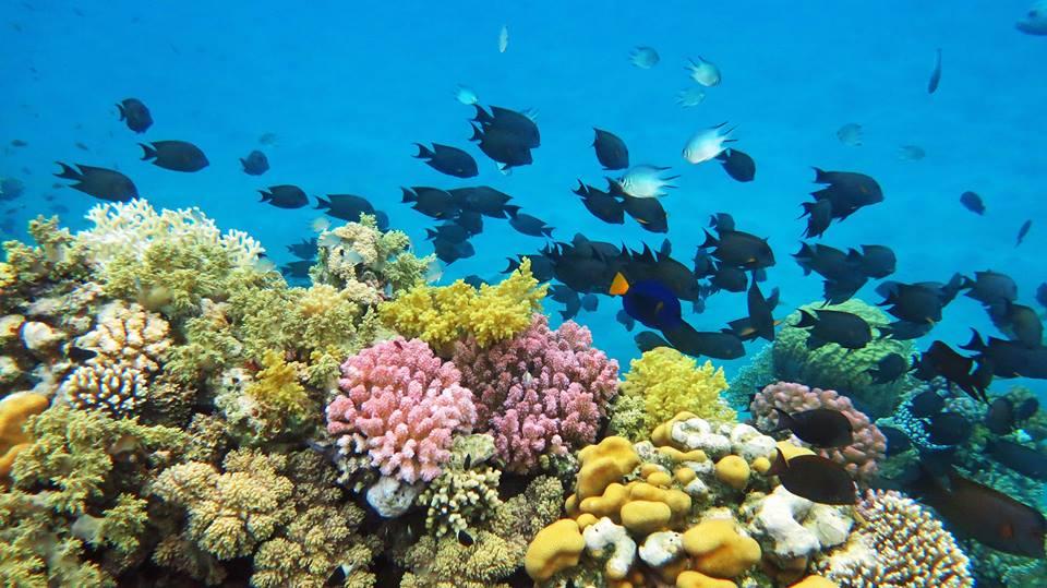 Sea Trip in Hurghada