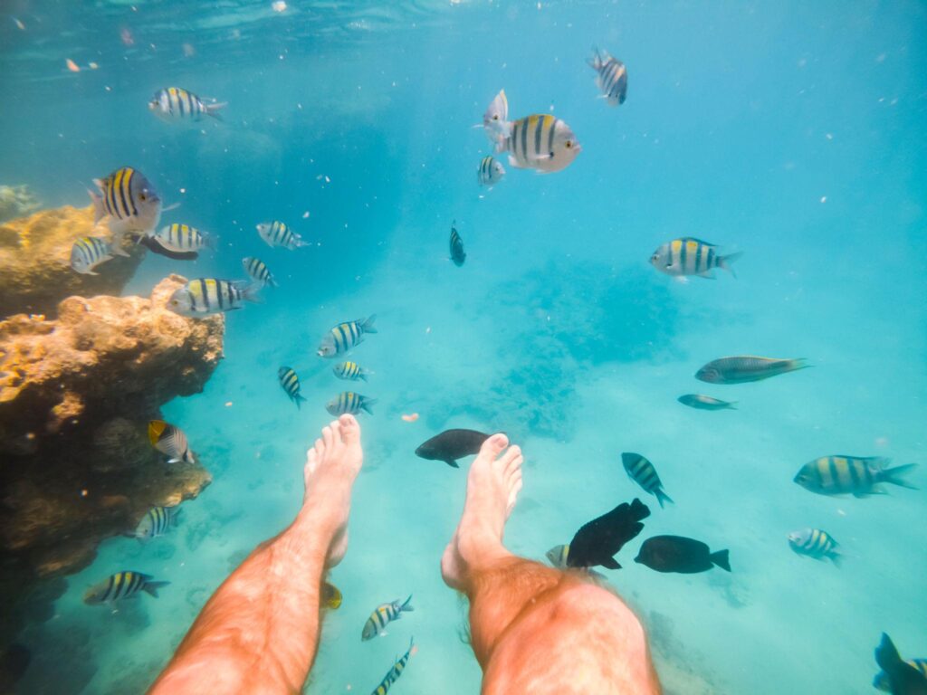 Sea Trip in Hurghada